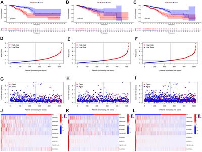 Development and validation of a novel endoplasmic reticulum stress-related lncRNA prognostic signature and candidate drugs in breast cancer